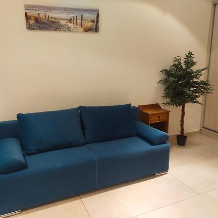 Apartament Przy Parku Wisełka エクステリア 写真